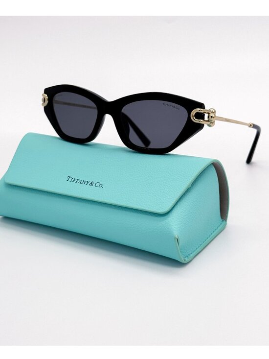 New Tiffany & Co TF4231U 8001/81 Black Polarized Cat Eye Women Sunglasses main image 9